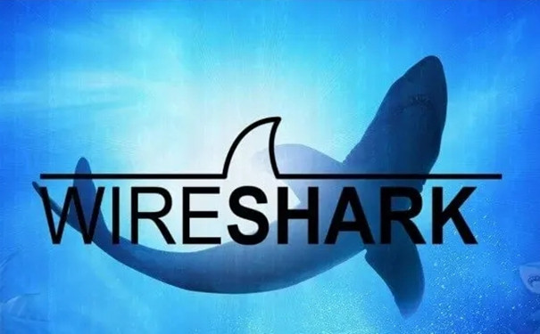 Wireshark截图