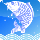 诺亚钓鱼下载安卓最新版_手机app官方版免费安装下载