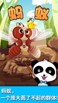 宝宝认蚂蚁下载2022安卓最新版_手机app官方版免费安装下载
