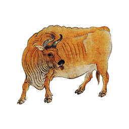 五牛到家下载安卓最新版_手机app官方版免费安装下载