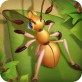 蚁族崛起神树之战iOS版app下载-蚁族崛起神树之战iOS版下载 苹果版v4.5.7