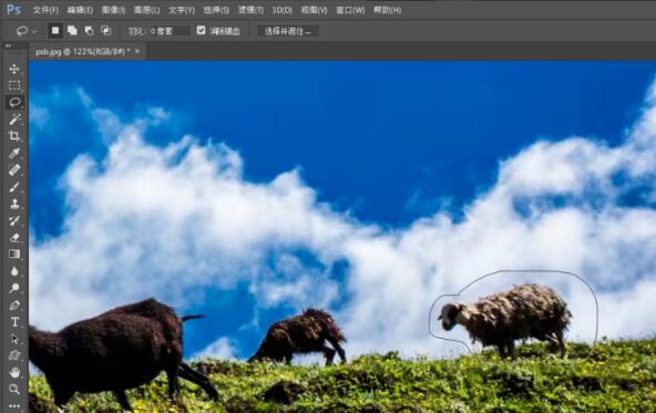 Photoshop CC截图