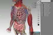 3DBody三维交互解剖软件免费版下载_3DBody三维交互解剖软件绿色版_3DBody三维交互解剖软件6.0