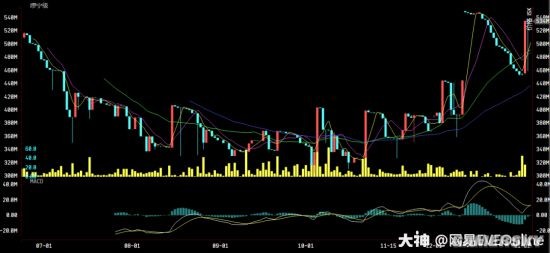 t1下载站