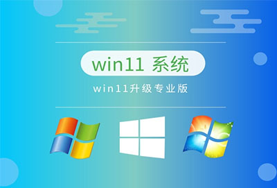 个人使用装win11哪个版本