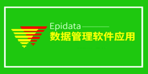 epidata截图